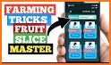 Fruits Slice - Make Money Free related image