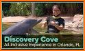 Discovery Cove related image