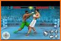 Real 3D Boxing Punch Pro related image